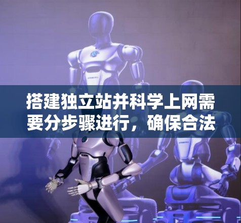 搭建独立站并科学上网需要分步骤进行，确保合法合规并注重网络安全。以下是具体方案