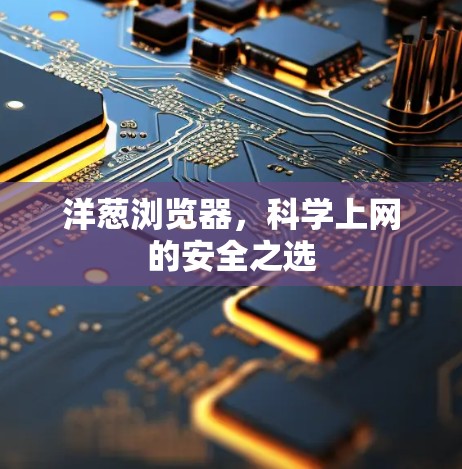 洋葱浏览器，科学上网的安全之选